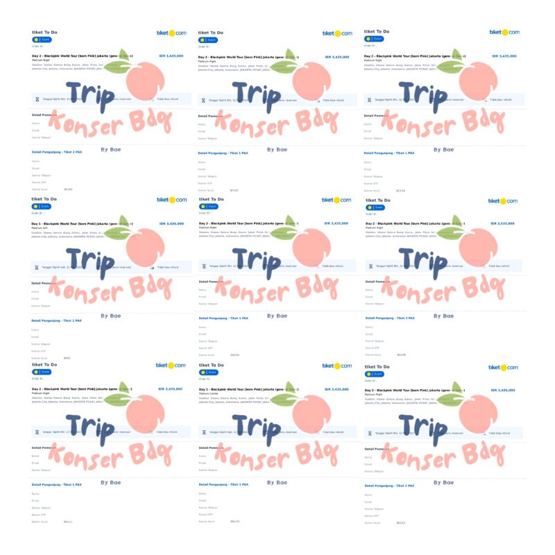 BLACKPINK - BORN PINK IN JAKARTA DAY 1 & 2 PLATINUM TIKET KONSER