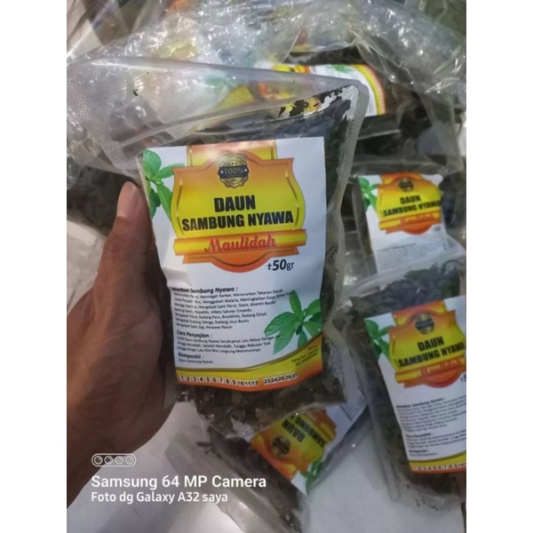 

TEH SEHAT DAUN SAMBUNG NYAWA ISI 30 GRAM