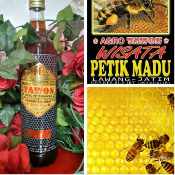 

ヴ MADU MURNI BUNGA LENGKENG TAWON LOKAL 600ML ㅞ