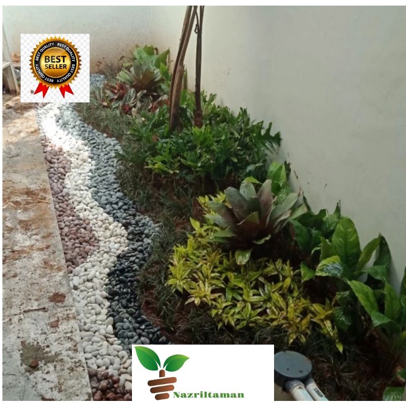 Paket Taman Minimalis Depok - Jasa Taman Depok