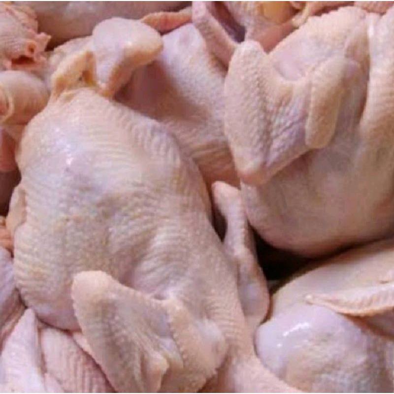 

AYAM FROZEN SEGAR 1KG