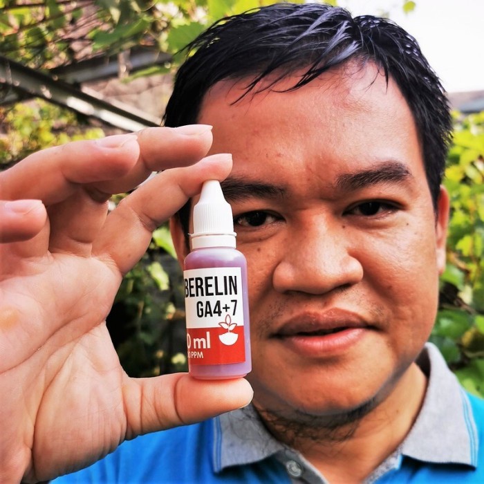 Hormon Tanaman GA4+7 Giberelin 30ml Pembesar Buah dan Dorman Breaker EE44