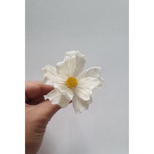 

cosmos D8 / edible / veganpaste