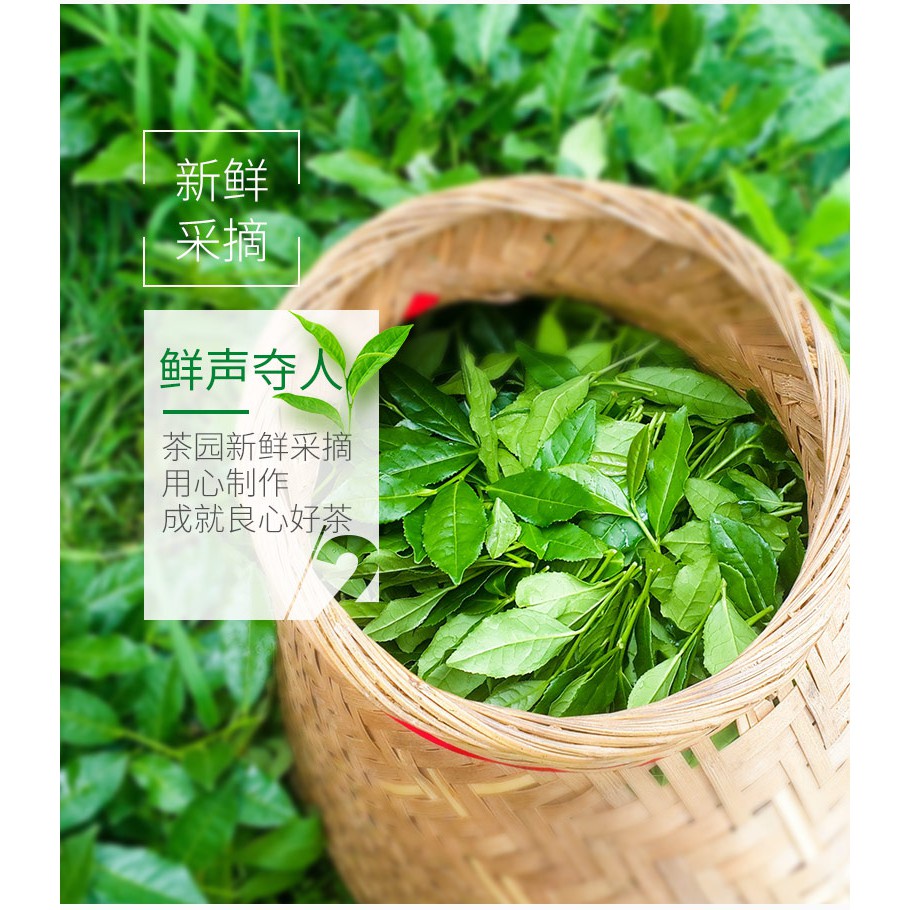 【HARGA PER BUNGKUS】Tie Guan Yin CHINESE TEA 8gram/Teh China TieGuanYin Teh Oolong 雅鑫苑 铁观音 中国茶