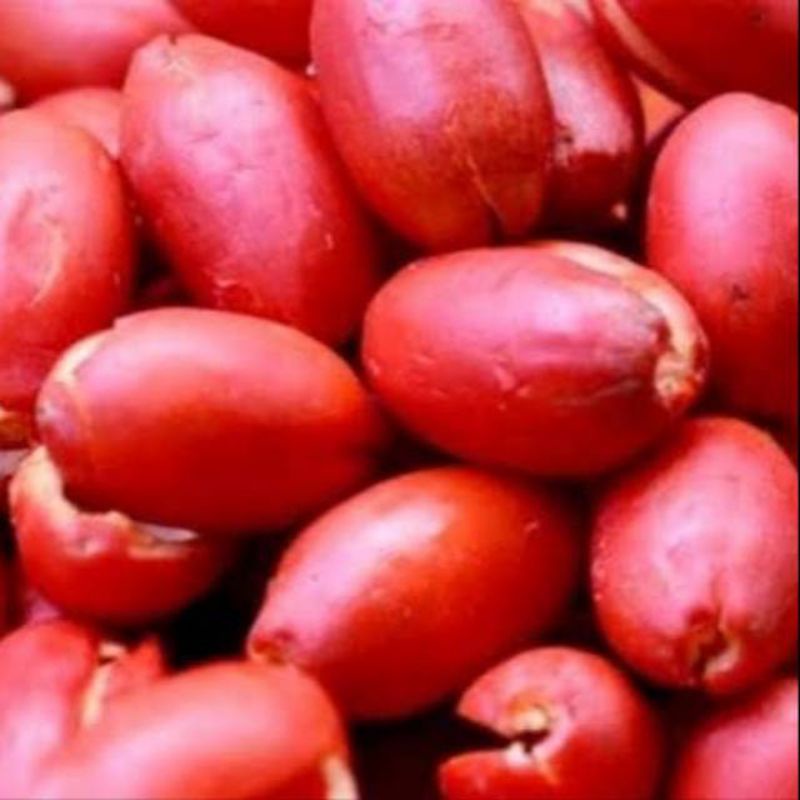 

KULIT MELINJO/KULIT TANGKIL 1kg