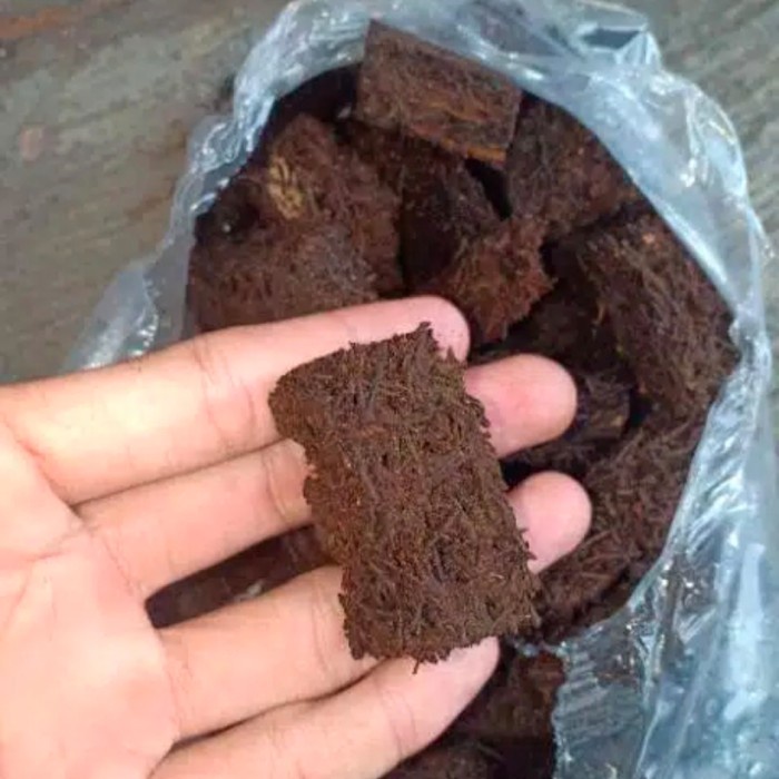 media tanam anggrek cacah pakis chip / cacah pakis kotak per 200gram