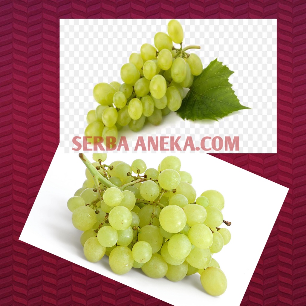 

( 500 GRAM ) - BUAH ANGGUR AUSTRALIA/ ANGGUR HIJAU AUS