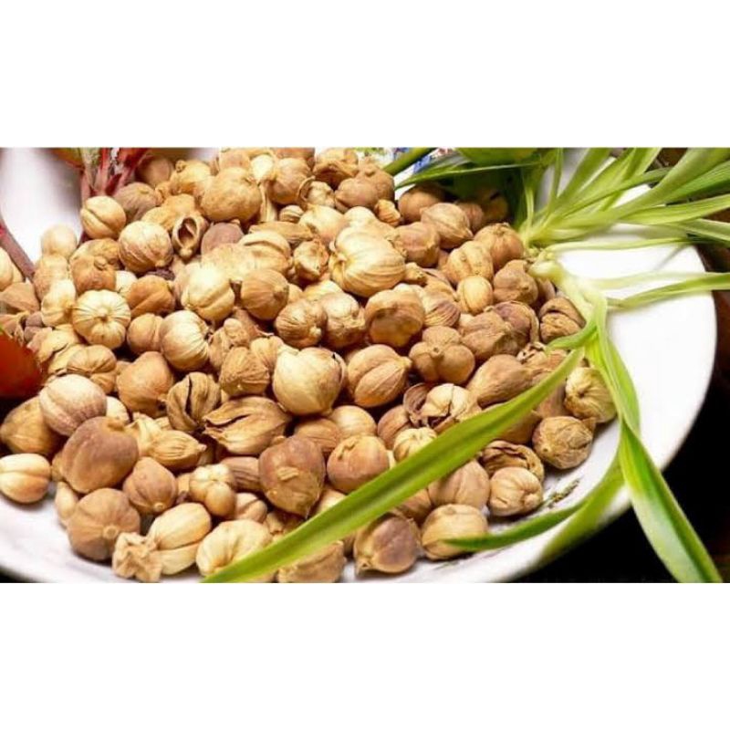 Kapulaga 50-100 Gram/ Kapulaga Kering/ Kapol/ Kapulogo/ Kapulaga Jawa/ Cardamom