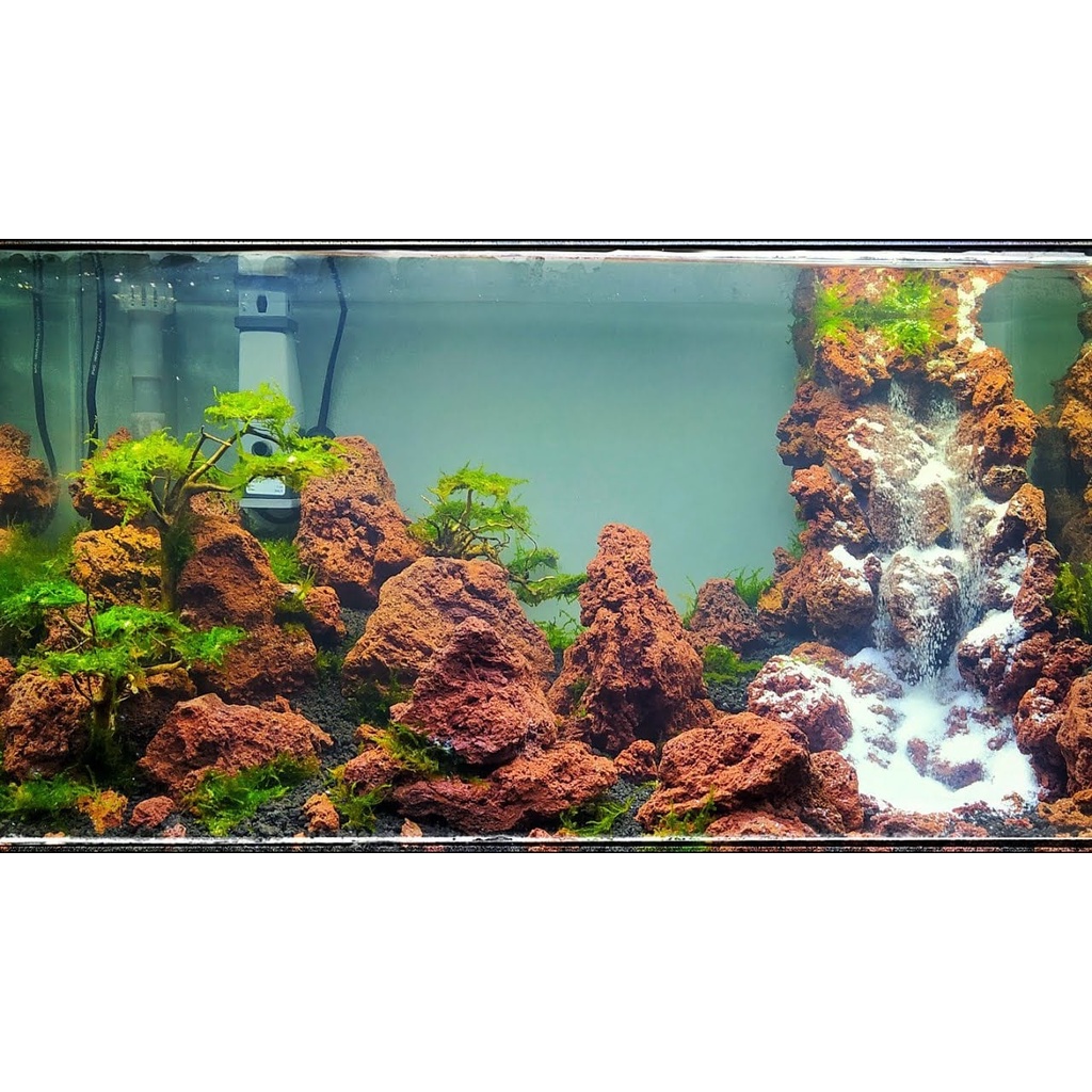Batu LavaRock Lava Rock Aquascape 1Kg