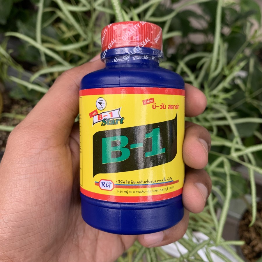 Liquinox Thailand T-rex Start B1 Original 100ml