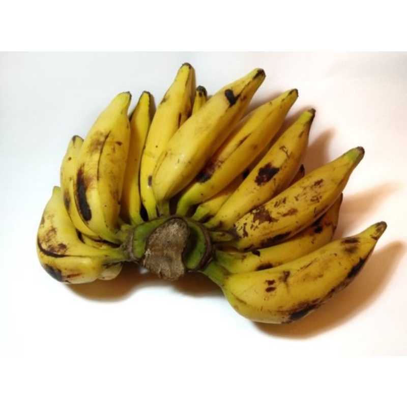 

Buah Segar Pisang Talas Sesisir