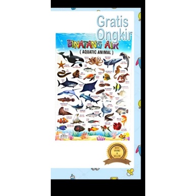 poster huruf abjad / angka / edukasi anak