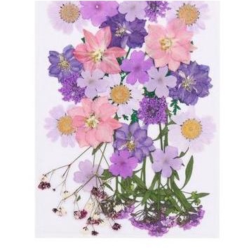 Pressed Dried Flower - Bunga Kering Press #02 - PURPLE