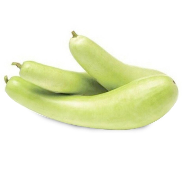 

FCW - Sayur Labu Air 1 Buah Besar