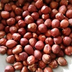 

Kacang Hazelnut Kernel Raw Nut Mentah Repack 100gr