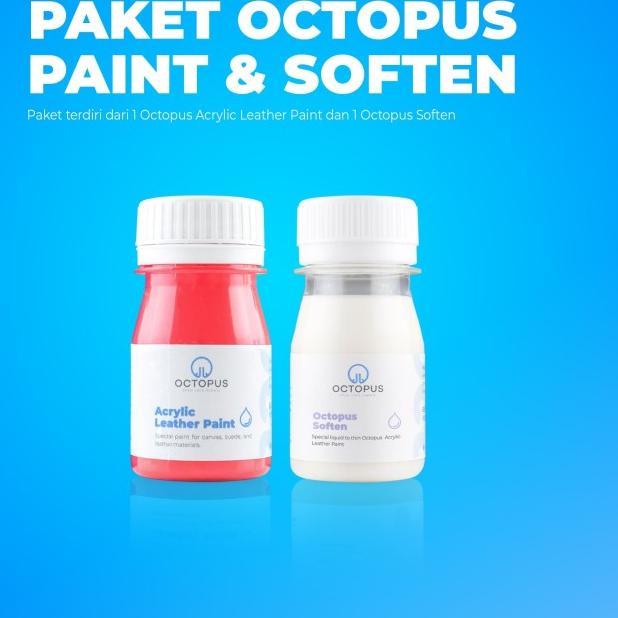 Cat sepatu canvas dan suede / not angelus suede dye