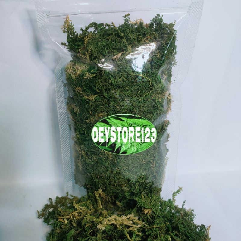 

Jual Daun Cakar Ayam \ Ceker Ayam Kering Per Kantong