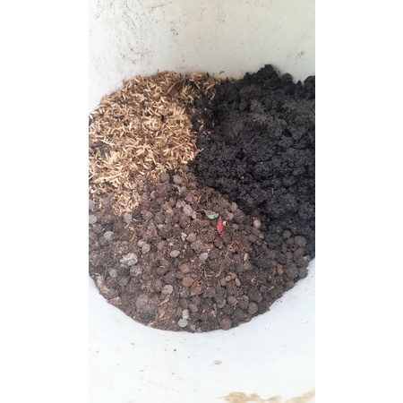 Pupuk kandang (1 kg) kotoran kelinci campur sekam, pupuk murah, organik, kotoran, kelinci