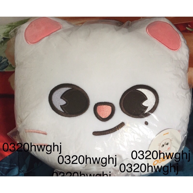 READY STOK CUSHION SKZOO JINIRET