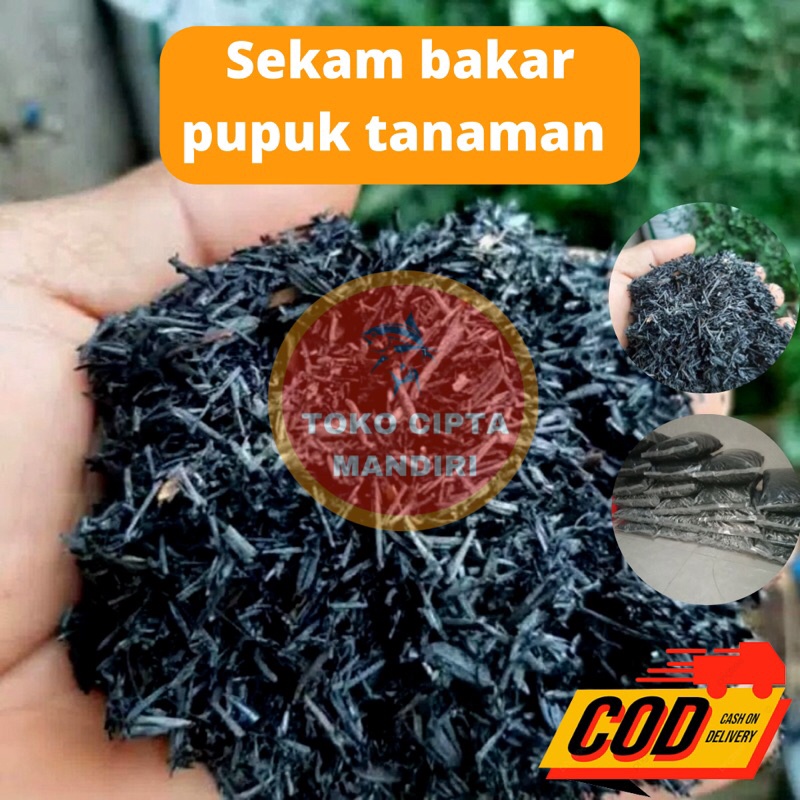 sekam bakar murni 1kg sekam bakar