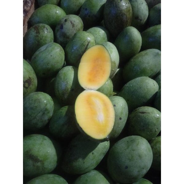 

mangga madu