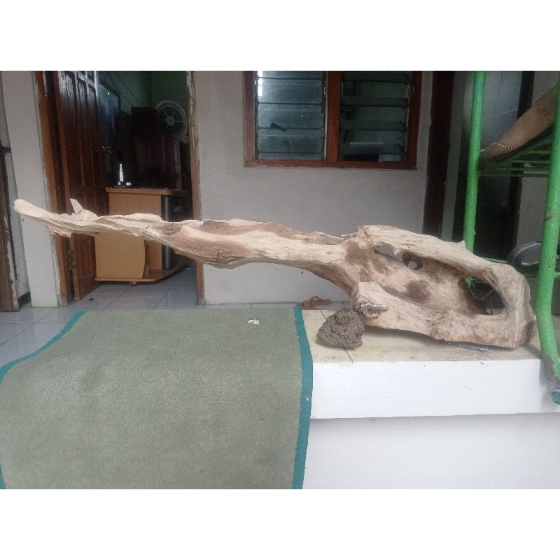 Kayu Aquascape Paludarium