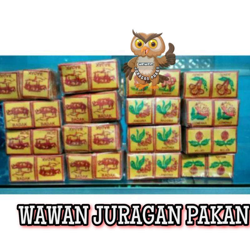 BENDERA REGU DAN TANDA REGU PRAMUKA