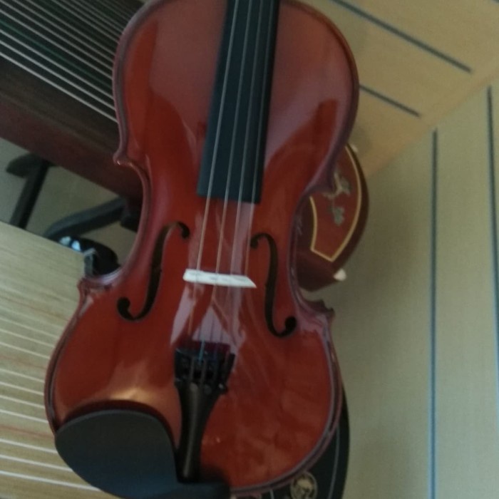 Alat Musik Biola Pearl River / Violin