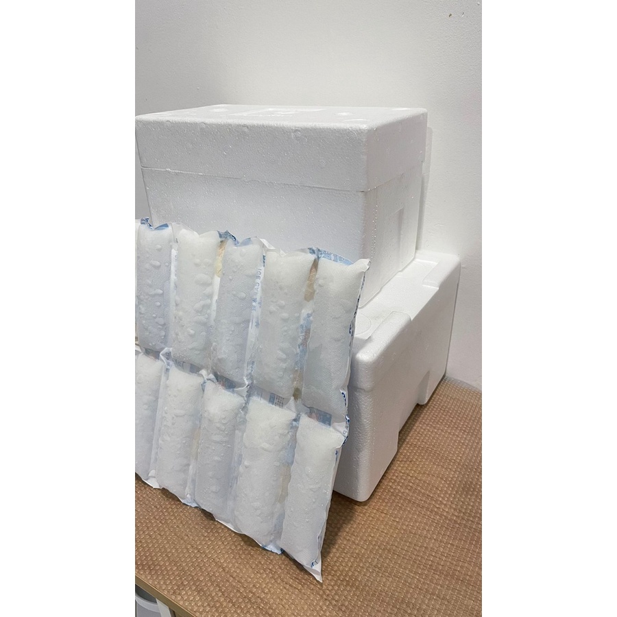 

PACKING ( BOX + ICEGEL )