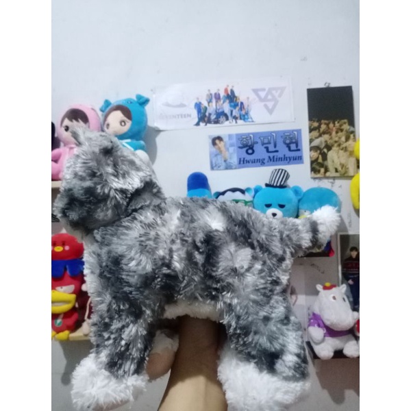 READY BONEKA IKEA HEWAN KUCING LUCU ANIMAL CAT