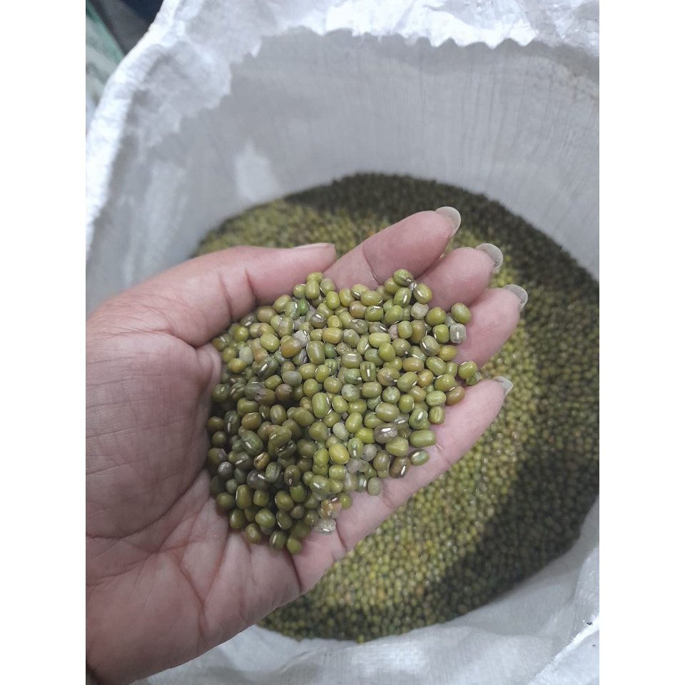 

Kacang ijo Hijau 25kg Grosir Murah