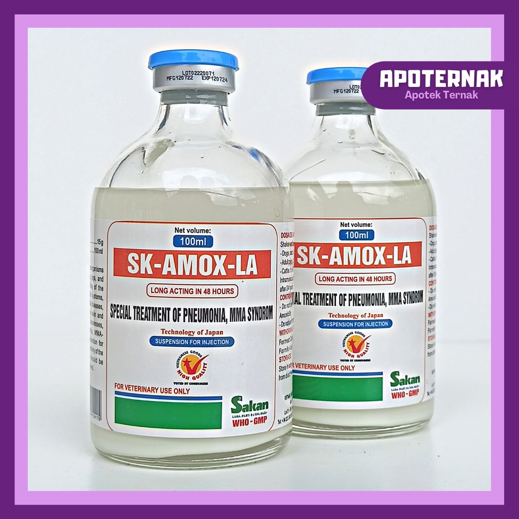 SK AMOX LA (Amoxcillin 15%) | Obat Infeksi Pada Ayam Sapi Kambing Babi Kucing Anjing | Mirip Betamox Intramox Amoxykep