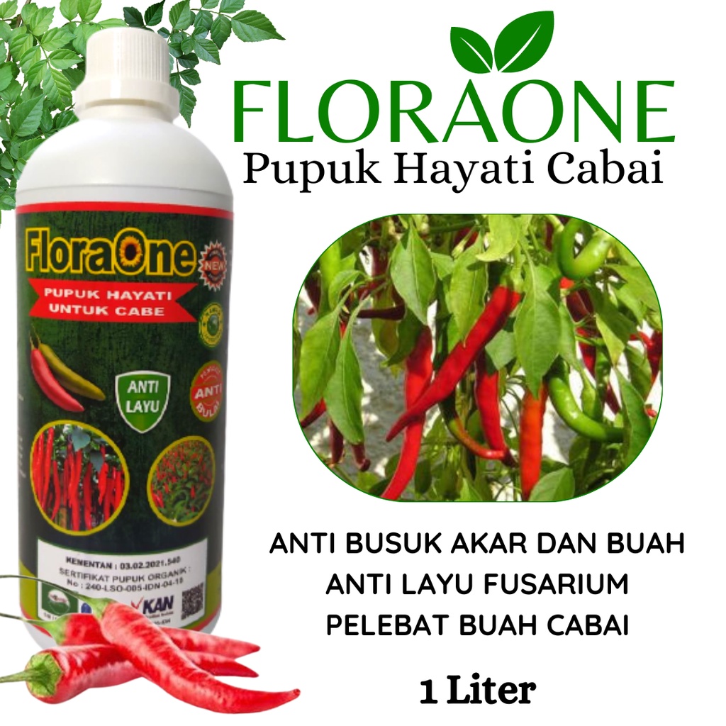 Pupuk Cabe Organik, Pupuk Perangsang Buah Cabai Cegah Layu Fusarium