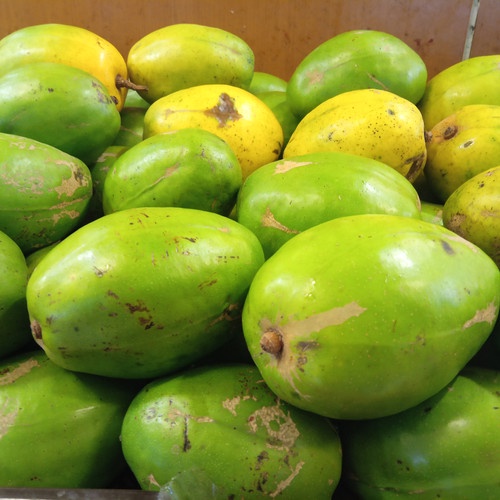 

Buah Segar Kedondong 10 Buah