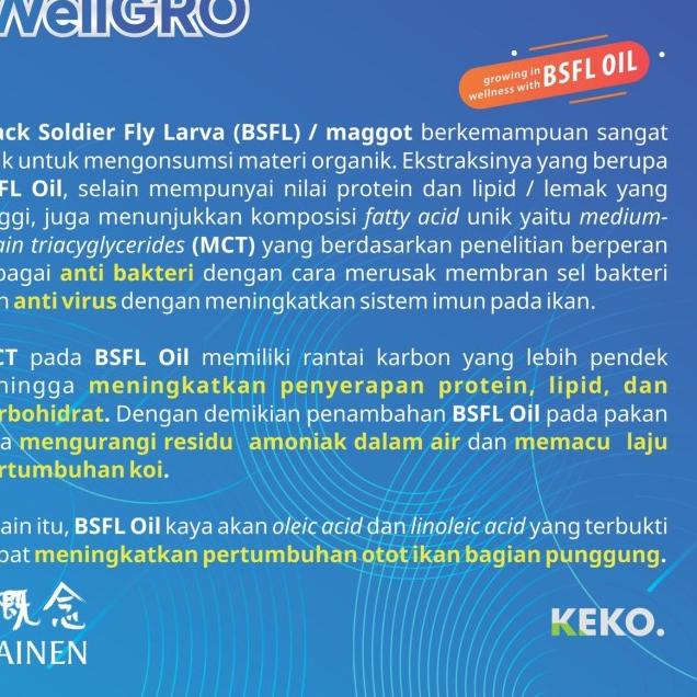 PAKAN KOI WELLGRO 2 KG M FLOATING MAKANAN IKAN KOI