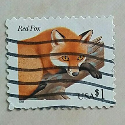 

(AD) Perangko Amerika Serikat Fauna (1998) - Red Fox (Vulpes vulpes) 1$ Used