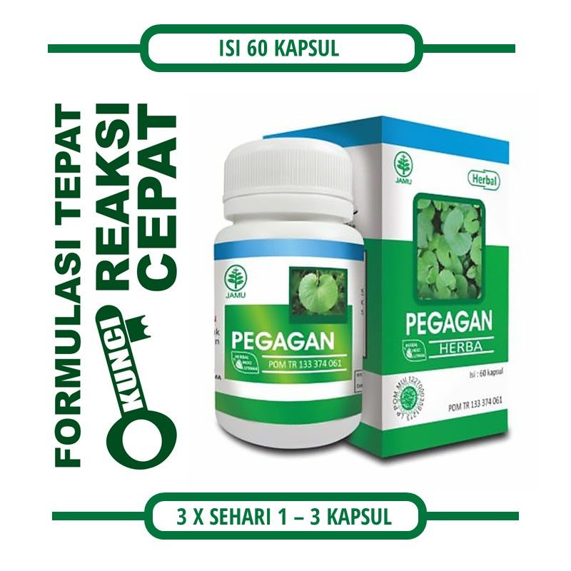 Kapsul Pegagan Hiu - Herbal Pegagan isi 60 kapsul