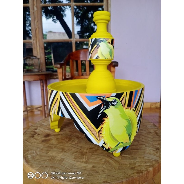 Tebok pleci