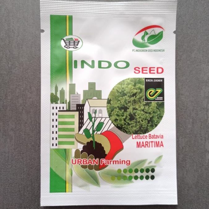 Benih Bibit Selada Maritima Lettuce Batavia Maritima EZ Indo Seed 1gr