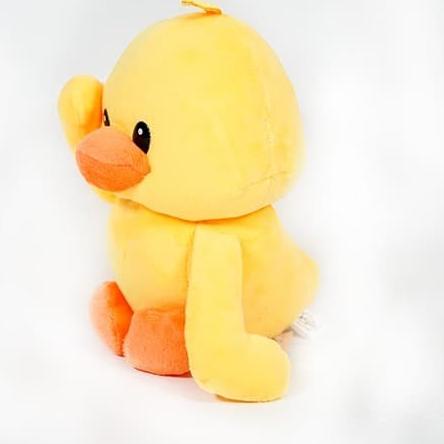 Boneka Bebek Duck Istana Boneka Bebek Okey Duck