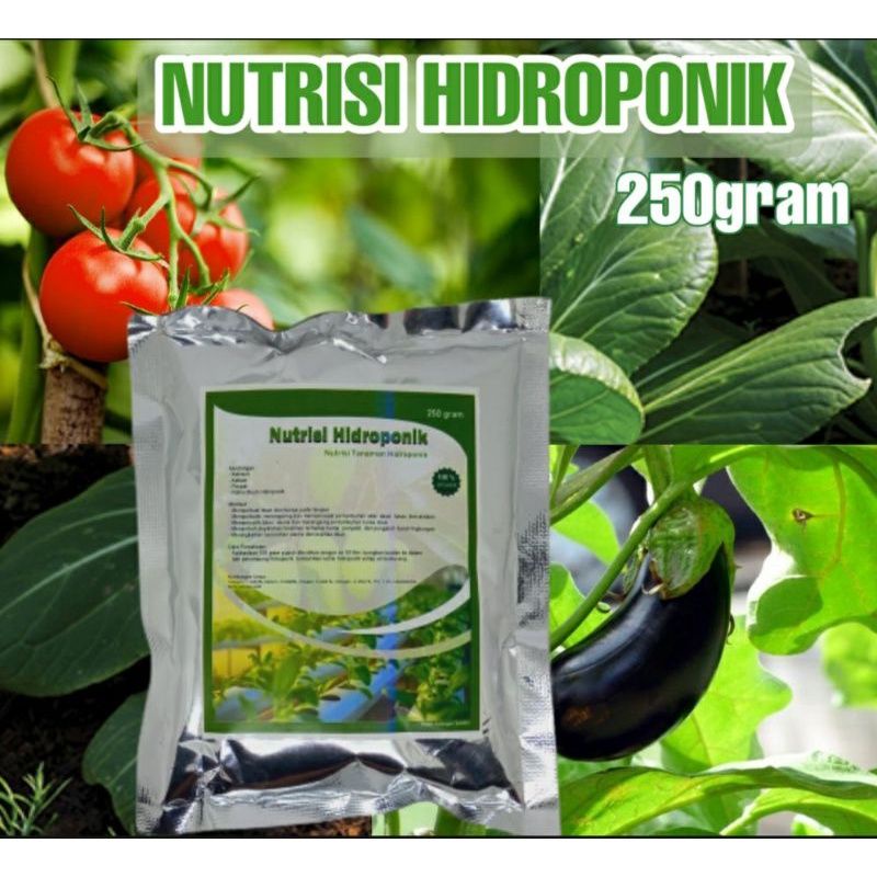 Nutrisi Tanaman Hidroponik