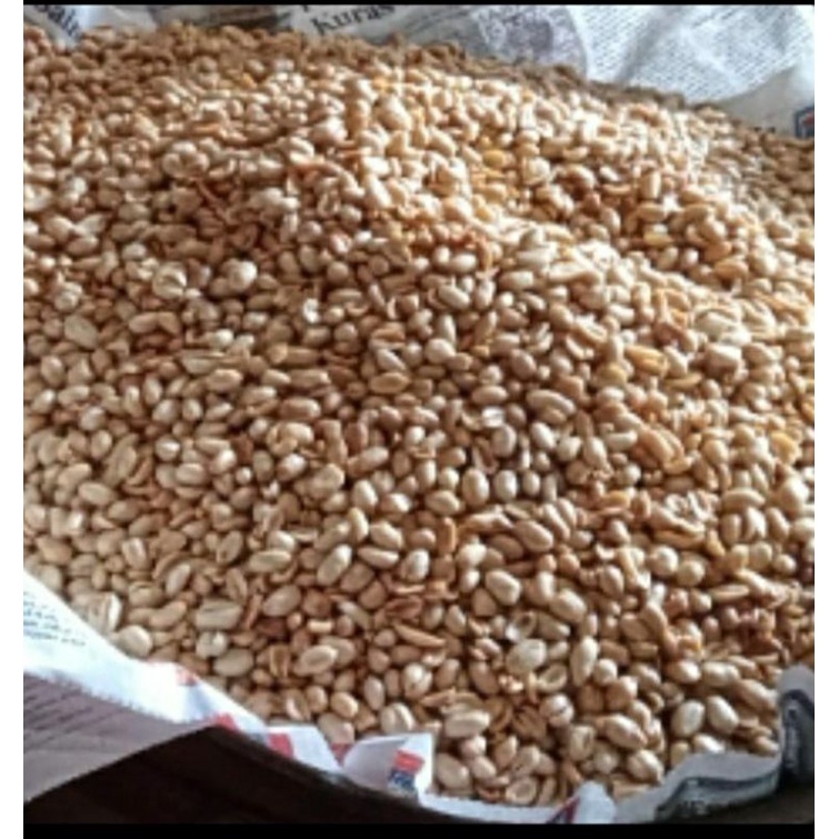 

kacang bawang goreng 1 kg