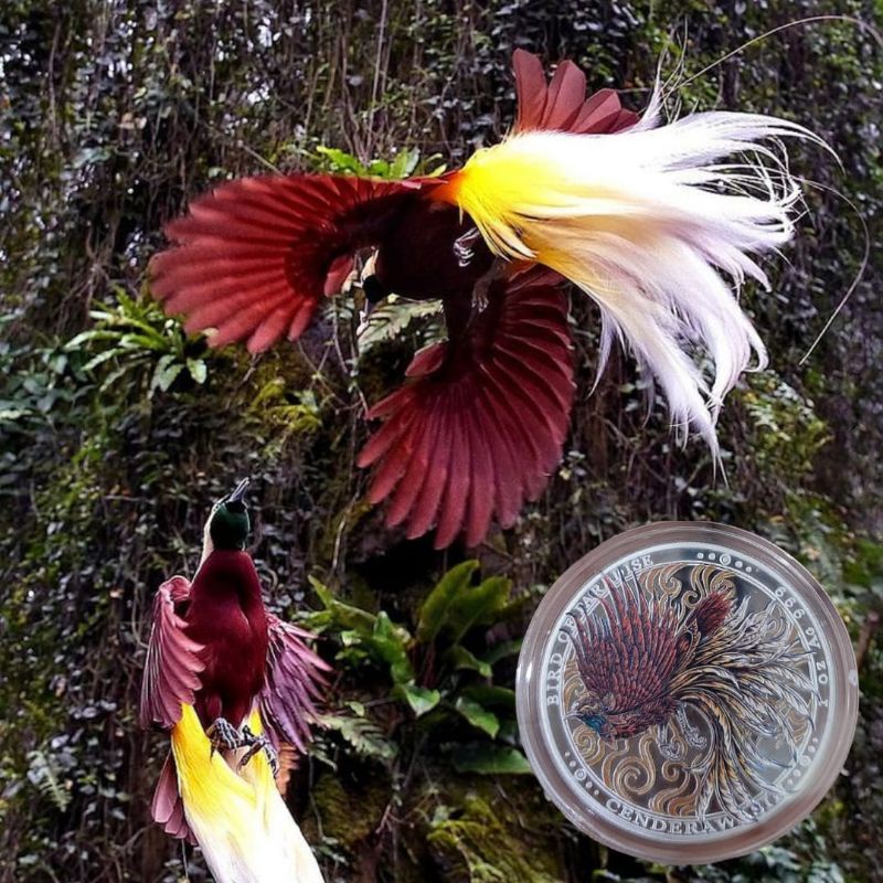 fine silver 1 OZ bullion spot perak murni 99.9%