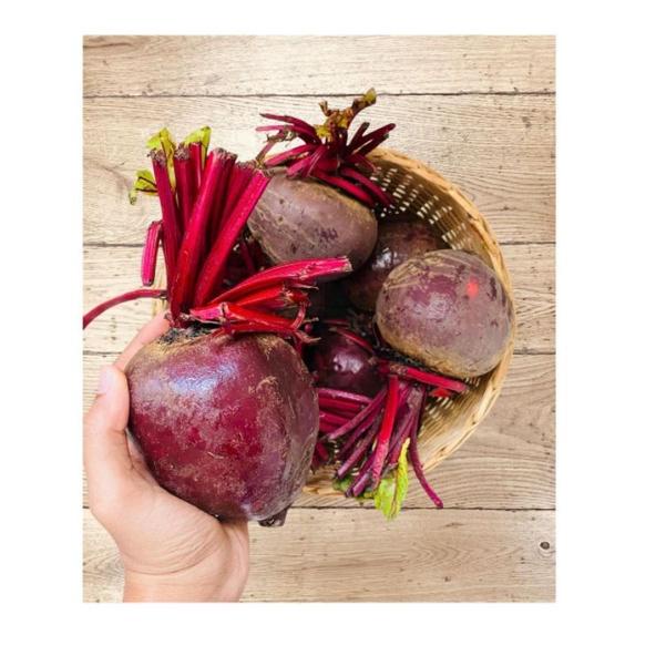 

ㅢ Buah BIT beetroot untuk kesehatan ㅫ