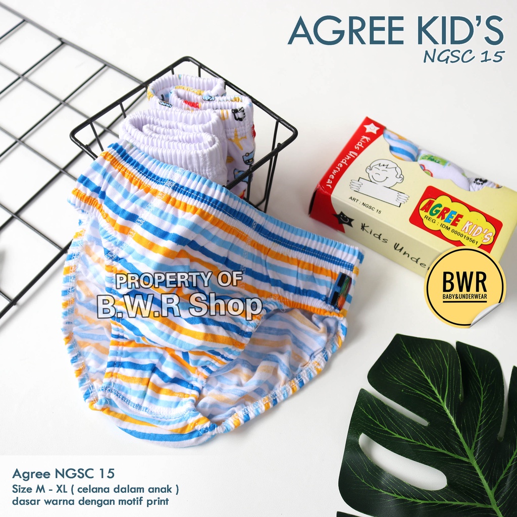 [ 3pc ] CD Agree NGS C15 / Celana Dalam Anak Agree NGSC 15 Karet Kerut Dasar Putih Motif | Bwr