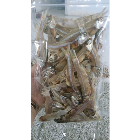 

Ikan Bada Jantan