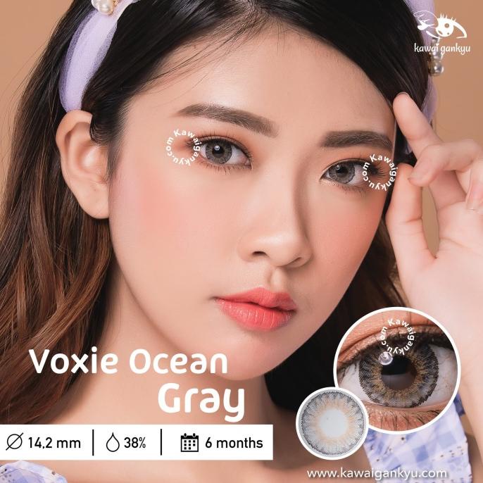 Kawai Gankyu Softlens - Voxie Ocean Gray