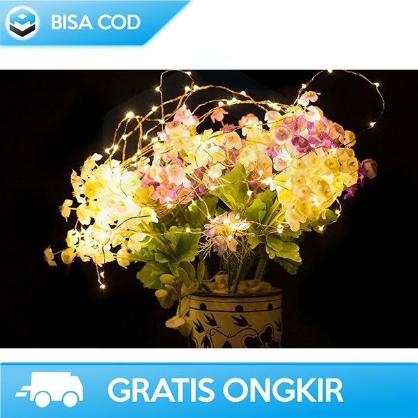 LAMPU DEKORASI GANTUNG LAMPU HIAS EPISTAR 50 LED 5 METER TAHAN AIR 2W