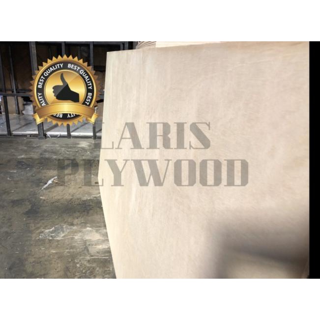 Triplek Palem 12mm / Multiplek Palem 12mm