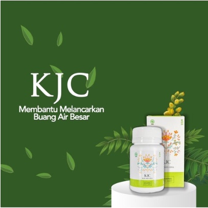BPOM Kapsul Jati Cina Pelangsing Alami dan Aman 60 Kapsul KJC